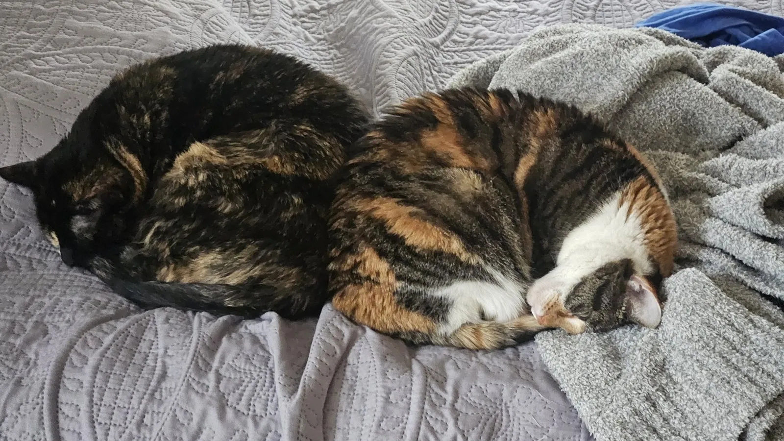 Yoshi and her mom River, October 2025