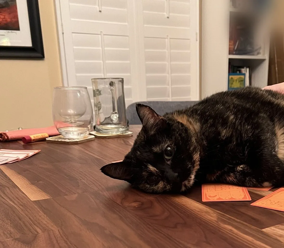 Yoshi sprawled across the game table during prep